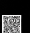 MahaRERA QR Code